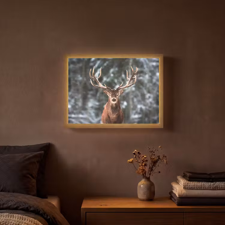 Lightbox - Wandlamp - Hert - Winter - Sneeuw - Bos - Natuur - Dier — 3