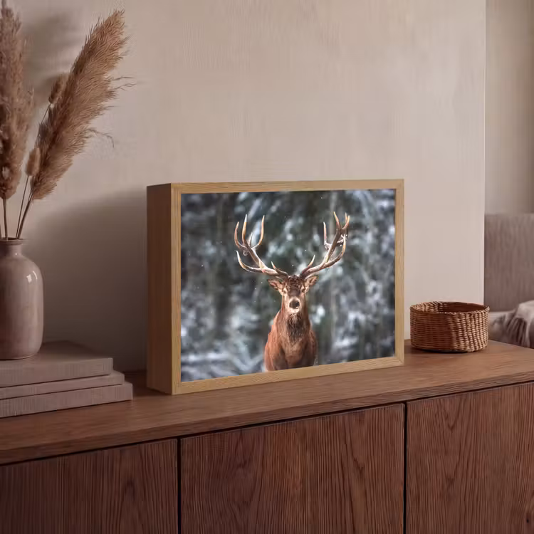 Lightbox - Wandlamp - Hert - Winter - Sneeuw - Bos - Natuur - Dier — 4