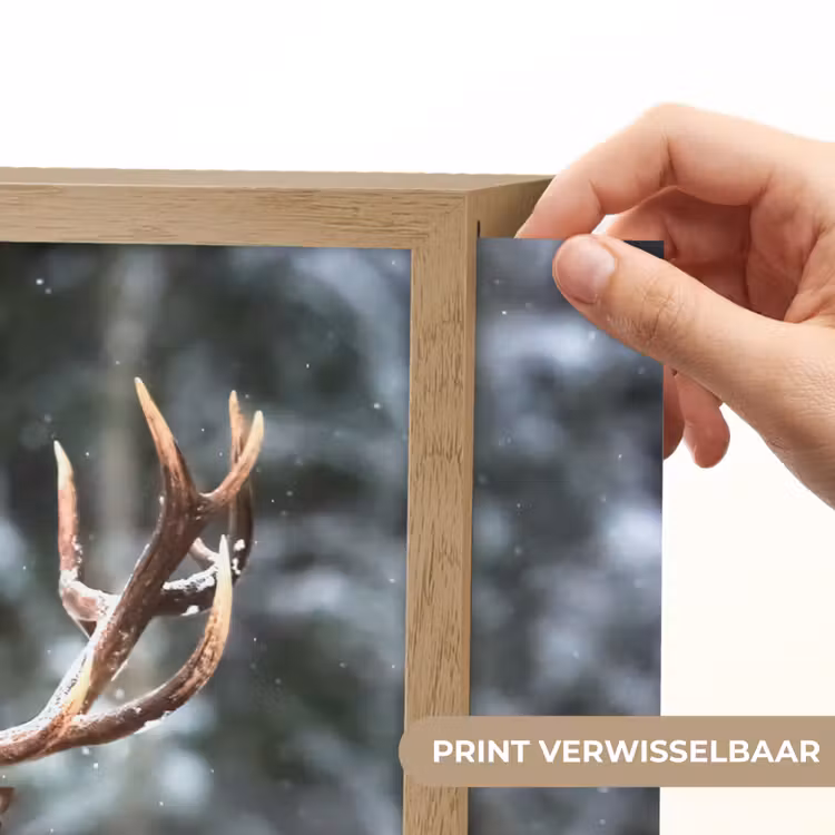 Lightbox - Wandlamp - Hert - Winter - Sneeuw - Bos - Natuur - Dier — 5