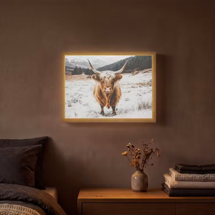 Lightbox - Wandlamp - Schotse Hooglander - Landschap - Sneeuw - Bergen - Winter — 3