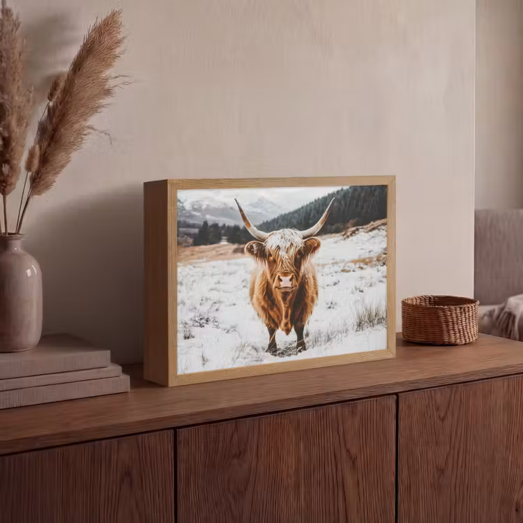 Lightbox - Wandlamp - Schotse Hooglander - Landschap - Sneeuw - Bergen - Winter — 4