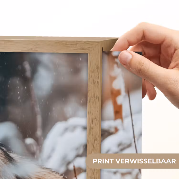 Lightbox - Wandlamp - Wolf - Sneeuw - Winter - Dieren - Natuur - Sneeuw — 5
