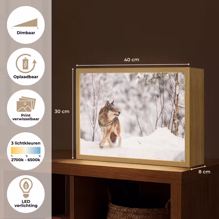 Lightbox - Wandlamp - Wolf - Winter - Sneeuw - Natuur - Dieren — 10