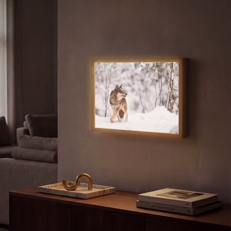 Lightbox - Wandlamp - Wolf - Winter - Sneeuw - Natuur - Dieren — 2