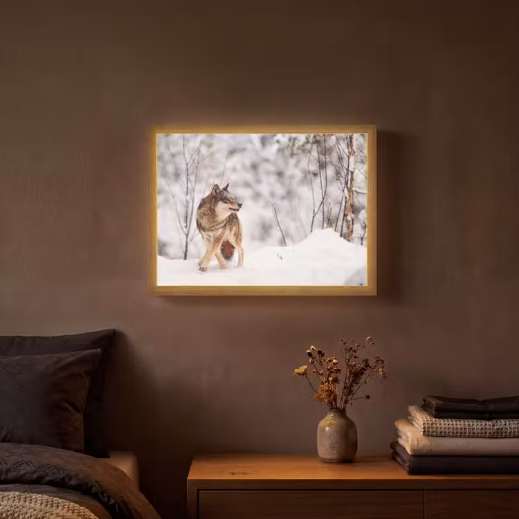 Lightbox - Wandlamp - Wolf - Winter - Sneeuw - Natuur - Dieren — 3