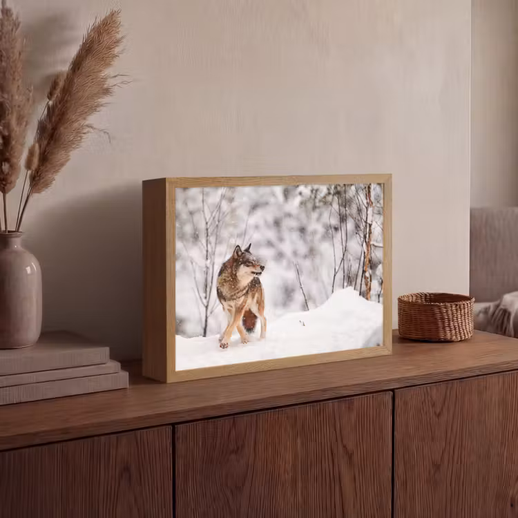 Lightbox - Wandlamp - Wolf - Winter - Sneeuw - Natuur - Dieren — 4