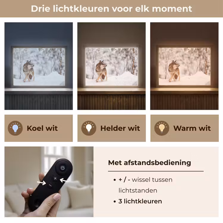 Lightbox - Wandlamp - Wolf - Winter - Sneeuw - Natuur - Dieren — 8