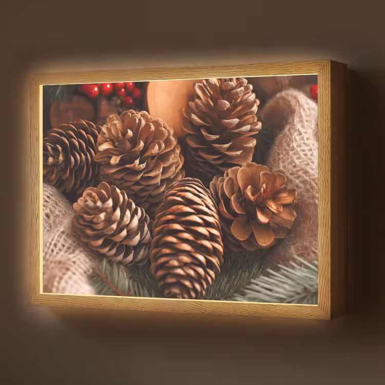Lightbox - Wandlamp - Dennenappels - Boom - Winter - Natuur - Bruin — 1