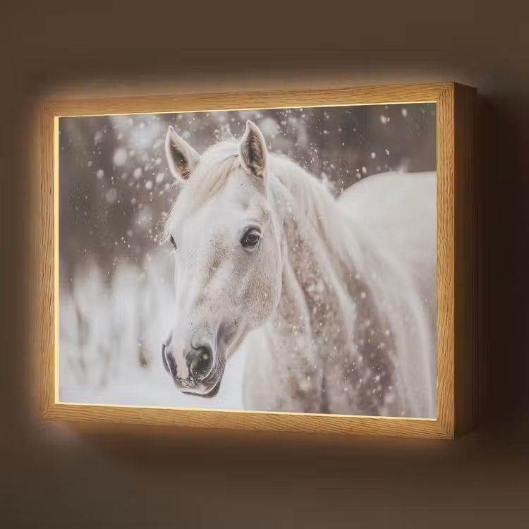 Lightbox - Wandlamp - Paard - Wit - Winter - Natuur - Sneeuw - Dieren — 1