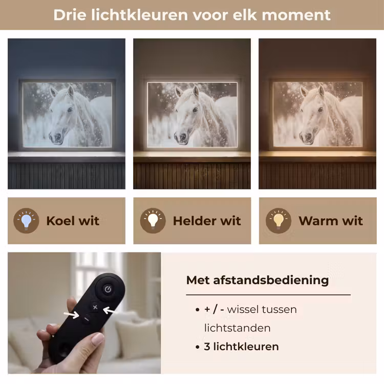 Lightbox - Wandlamp - Paard - Wit - Winter - Natuur - Sneeuw - Dieren — 8