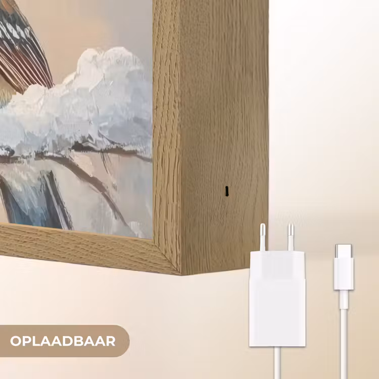 Lightbox - Wandlamp - Vogels - Tak - Winter - Sneeuw — 7