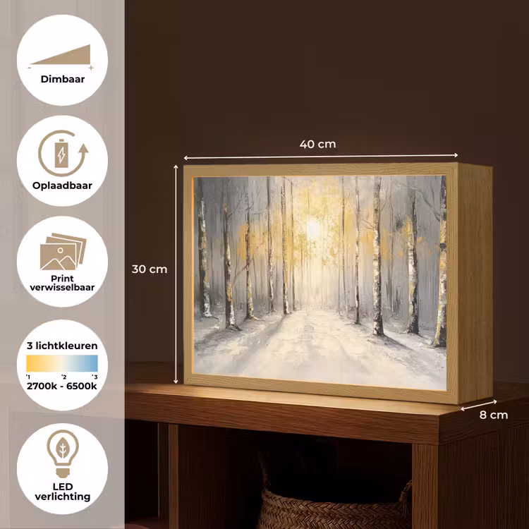 Lightbox - Wandlamp - Winter - Abstract - Sneeuw - Natuur - Zon — 10