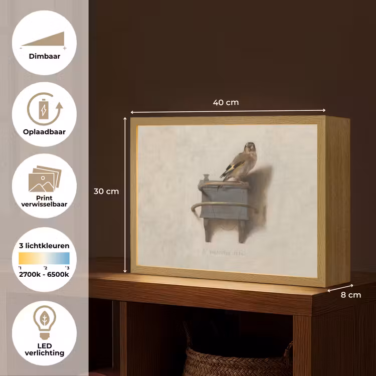 Lightbox - Wandlamp - Het Puttertje - Schilderij - Fabricius - Oude Meester — 10