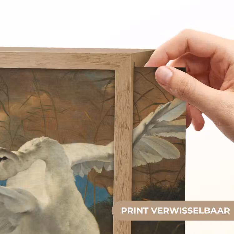 Lightbox - Wandlamp - Zwaan - Oude meesters - Jan Asselijn — 5