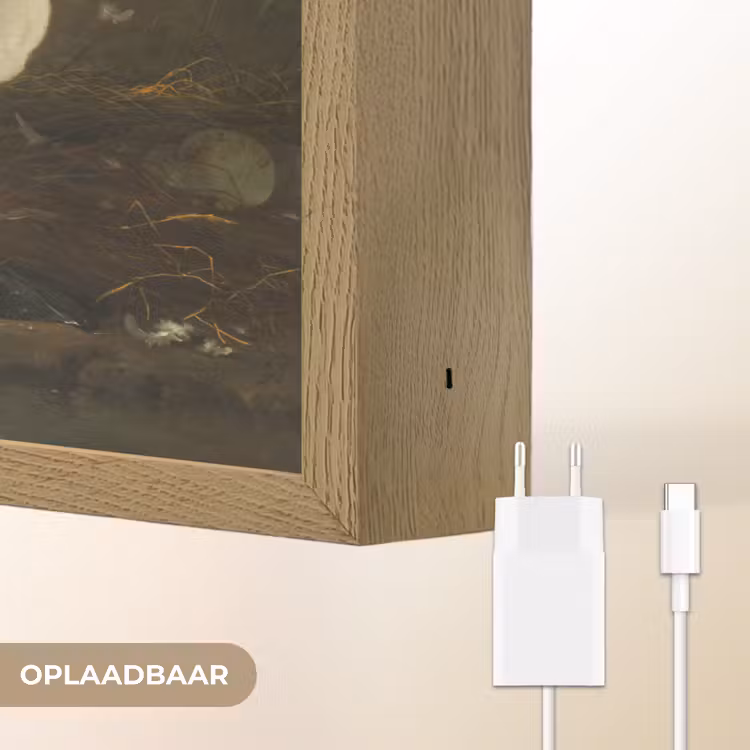Lightbox - Wandlamp - Zwaan - Oude meesters - Jan Asselijn — 7