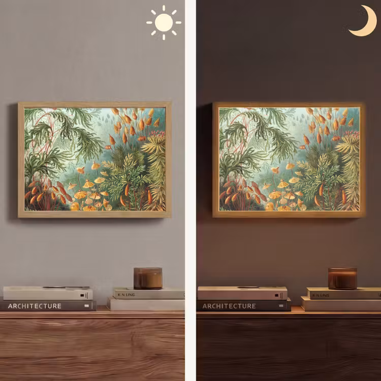 Lightbox - Wandlamp - Oude meesters - Kunst - Muscinae - Haeckel — 6