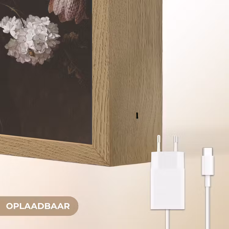 Lightbox - Wandlamp - Stilleven met bloemen - Jan Davidsz de Heem - Kat — 6