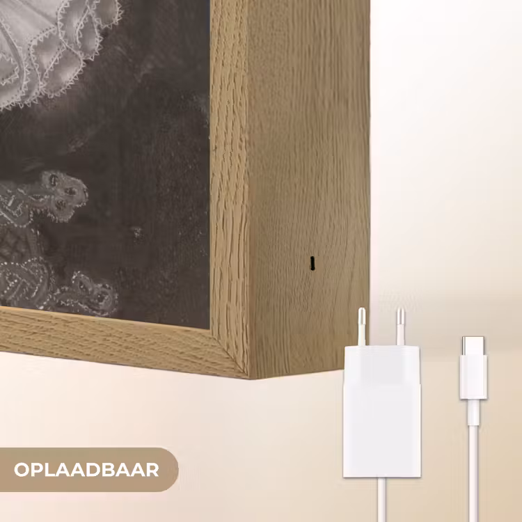 Lightbox - Wandlamp - Willem van Oranje - Adriaen Thomasz - Panterprint — 6