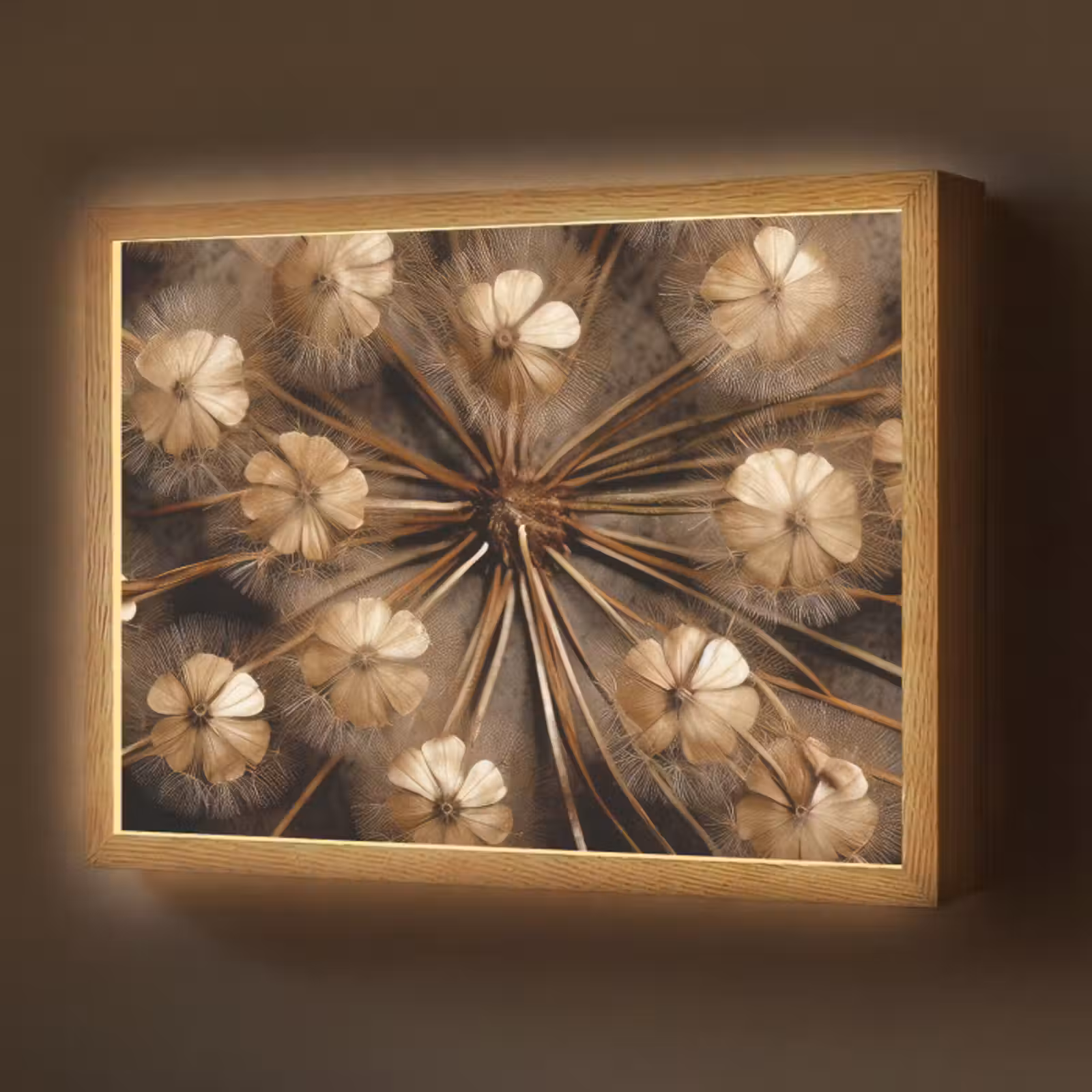 Lightbox - Wandlamp - Droogbloemen - Bruin - Natuur — 1