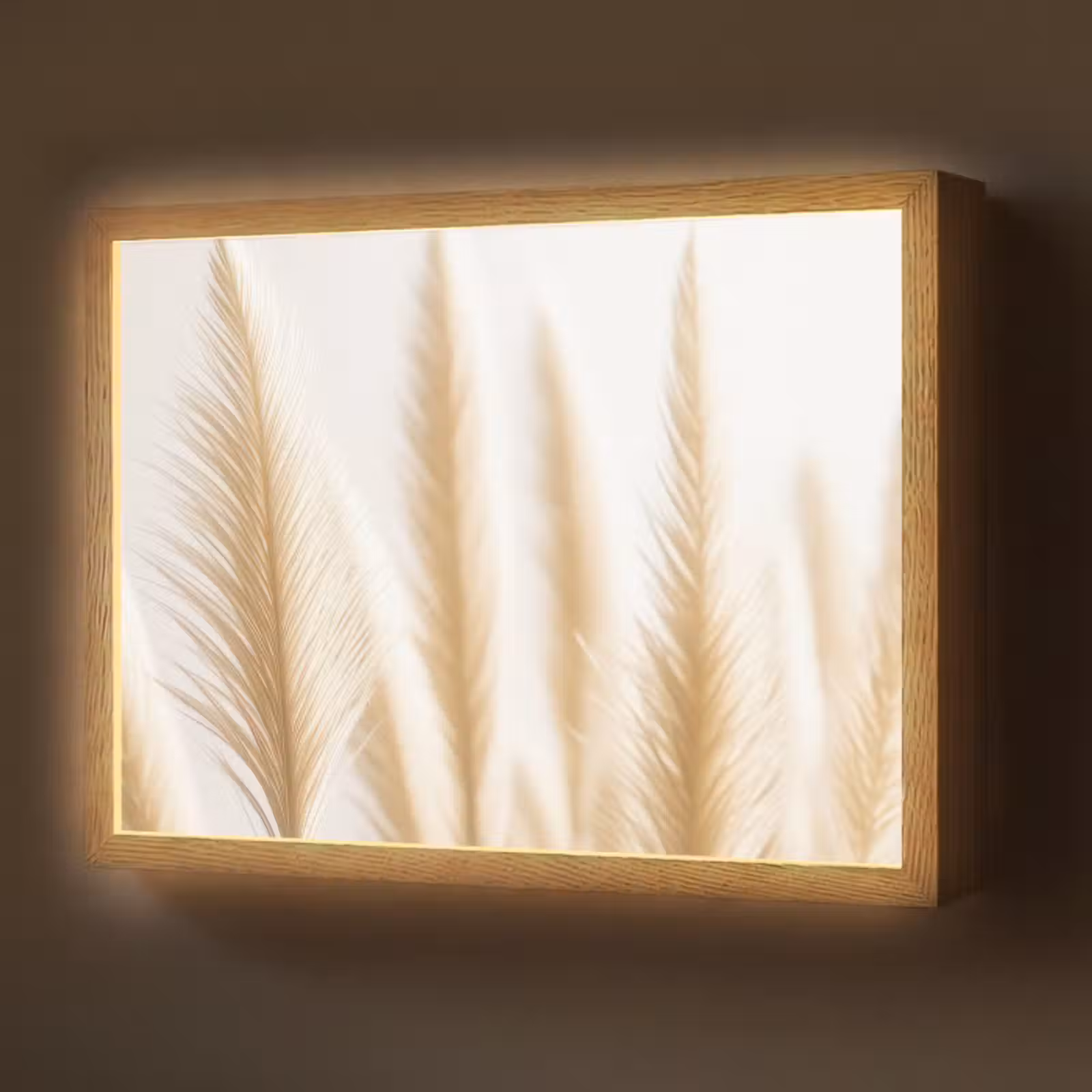 Lightbox - Wandlamp - Pampas gras - Pluimen - Beige - Natuur — 1