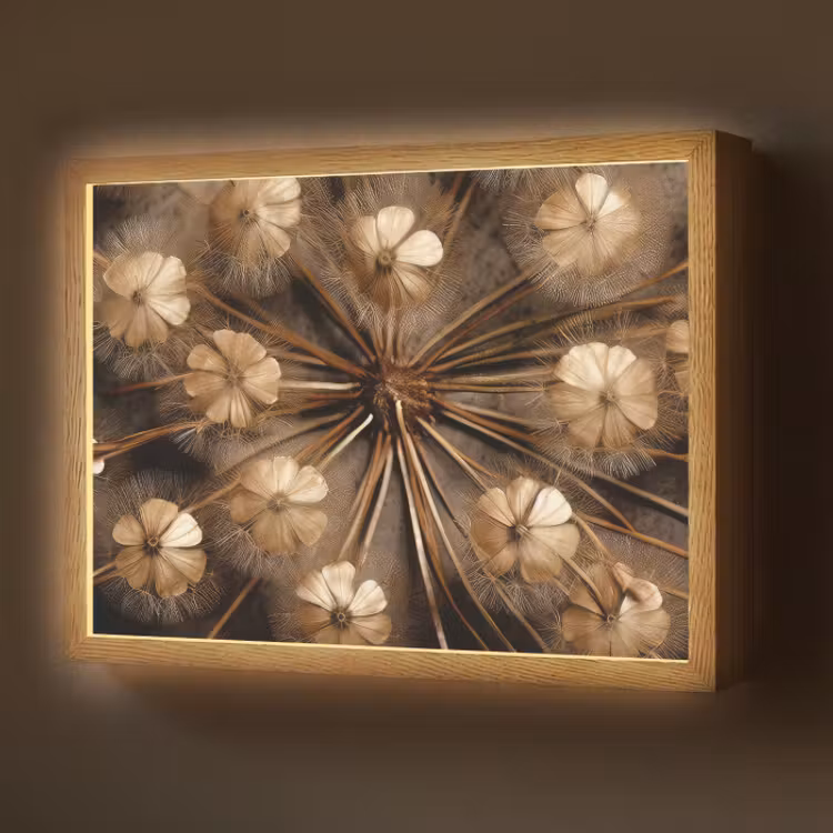 Lightbox - Wandlamp - Droogbloemen - Bruin - Natuur — 1