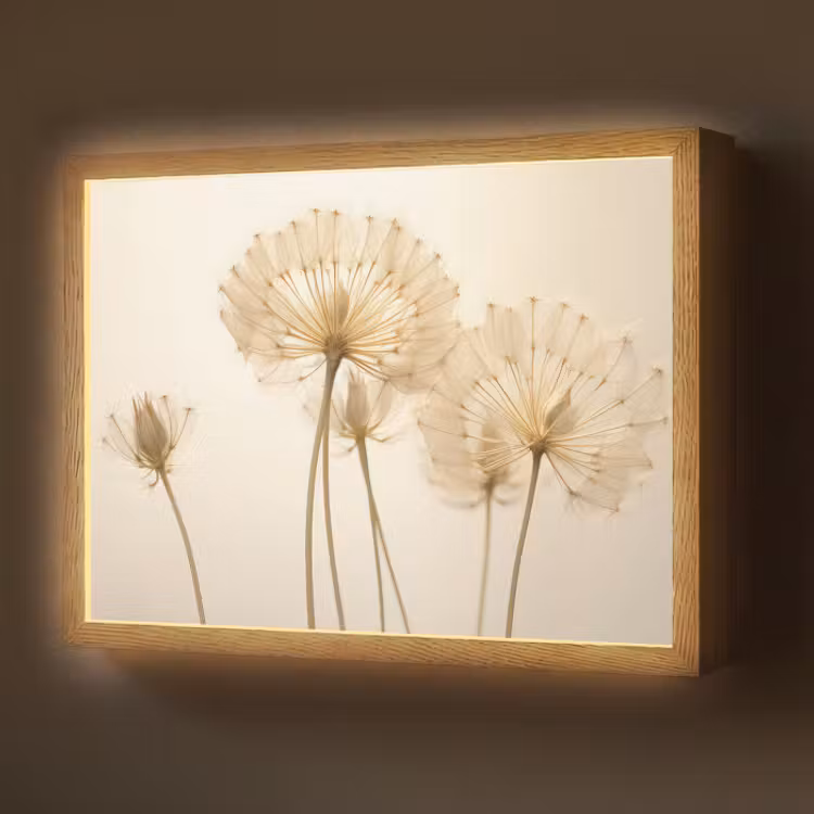 Lightbox - Wandlamp - Zonlicht - Paardenbloem - Botanisch - Bloemen — 1