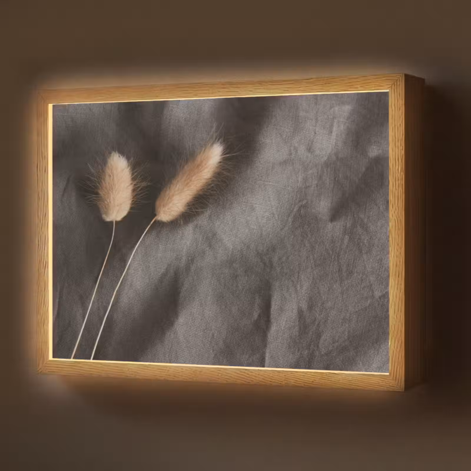 Lightbox - Wandlamp - Pampasgras - Pluim - Zwart - Beige — 1
