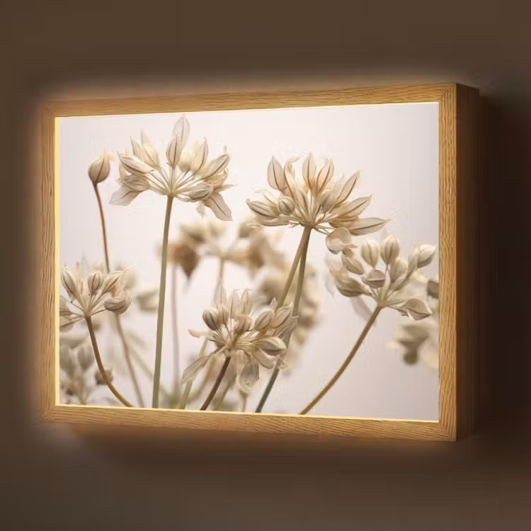 Lightbox - Wandlamp - Droogbloemen - Beige - Wit - Planten — 1