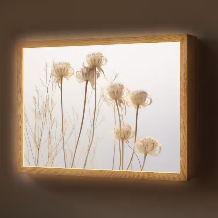 Lightbox - Wandlamp - Droogbloemen - Natuur - Botanisch — 1