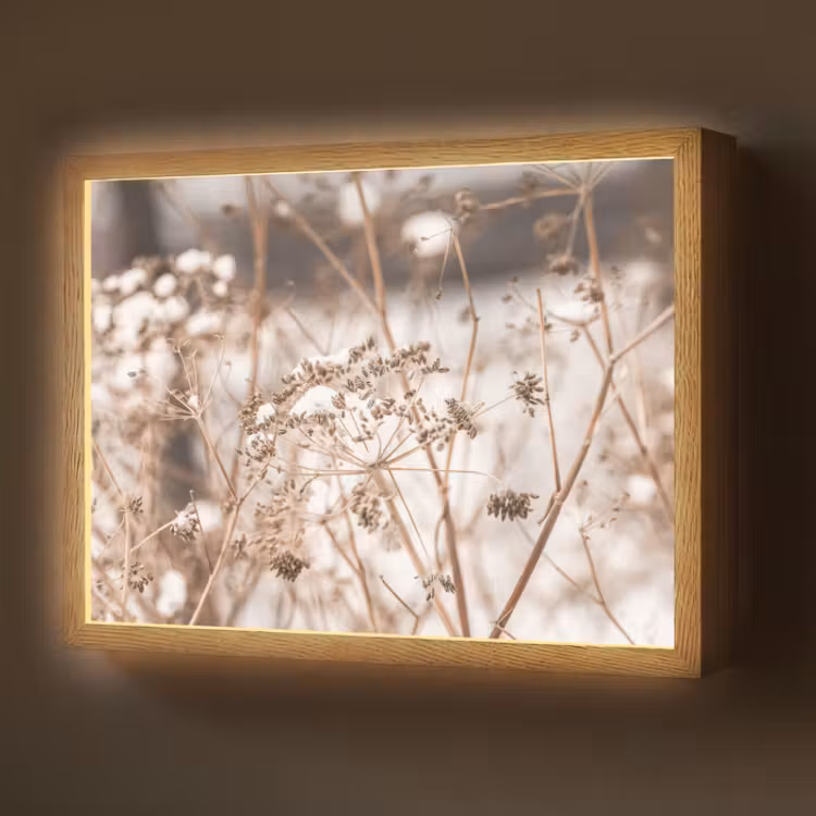 Lightbox - Wandlamp - Droogbloemen - Wit - Planten — 1