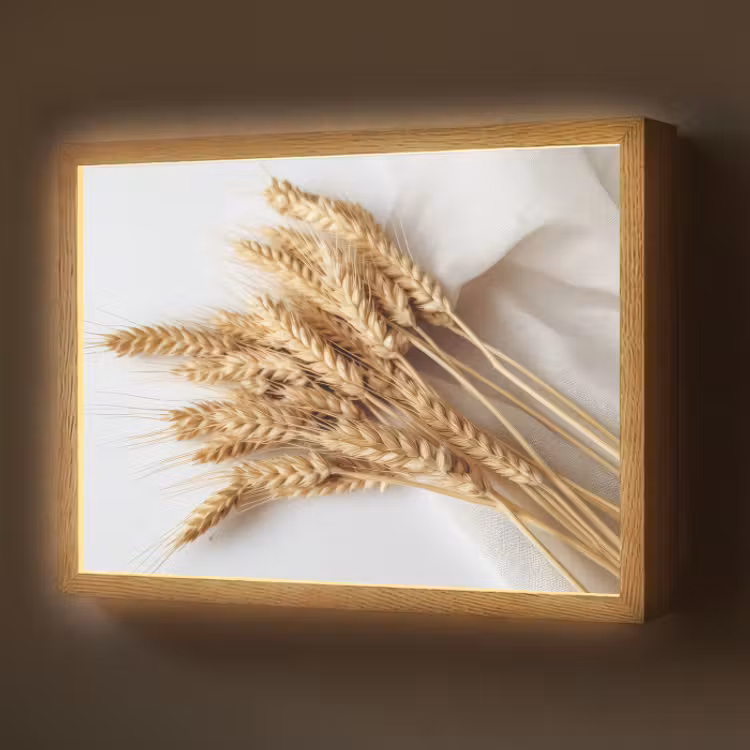 Lightbox - Wandlamp - Graan - Geel - Wit - Natuur - Stilleven — 1