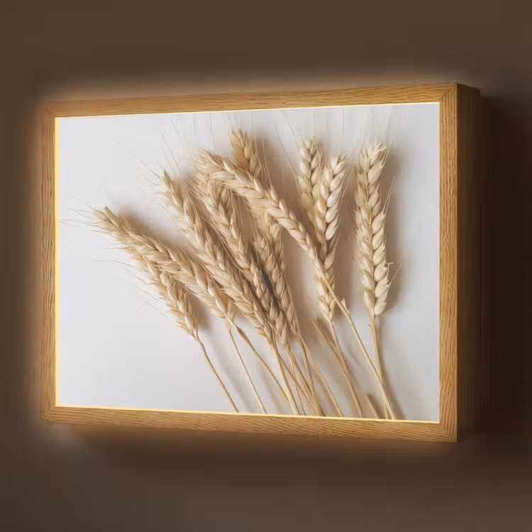 Lightbox - Wandlamp - Graan - Geel - Wit - Stilleven — 1