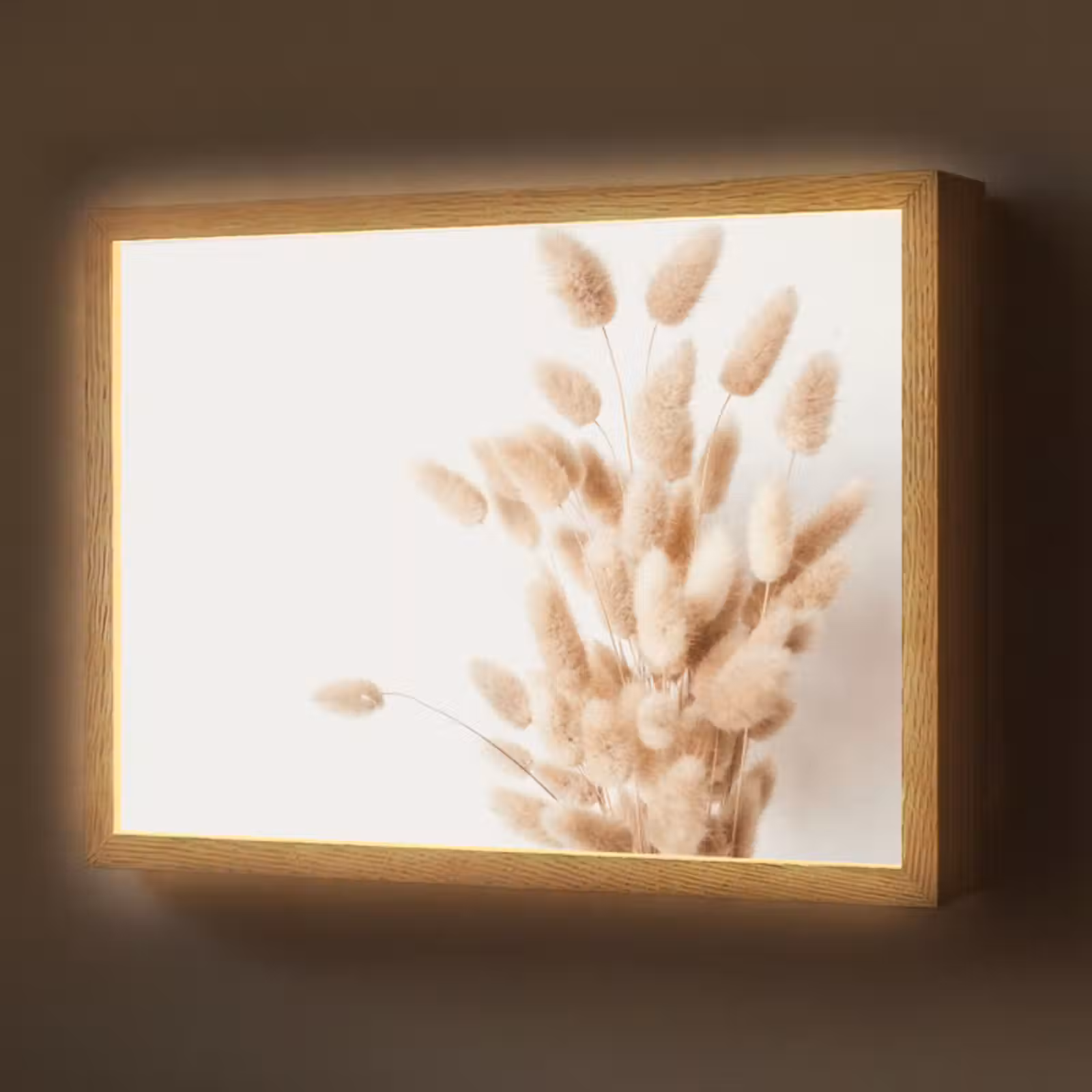 Lightbox - Wandlamp - Pampasgras - Pluim - Wit - Beige — 1
