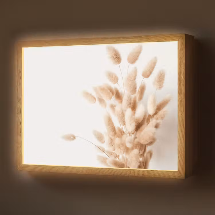 Lightbox - Wandlamp - Pampasgras - Pluim - Wit - Beige — 1