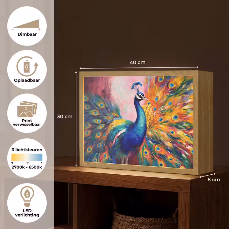 Lightbox - Wandlamp - Pauw - Dieren - Schilderij - Regenboog — 10