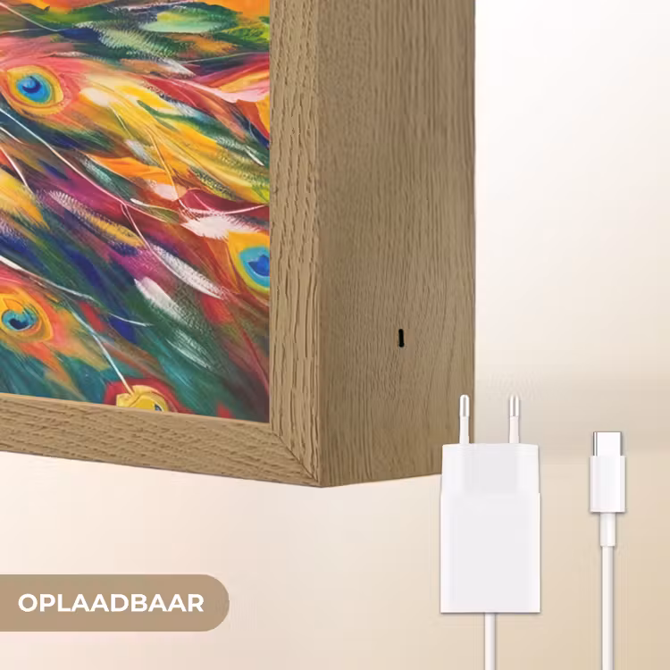 Lightbox - Wandlamp - Pauw - Dieren - Schilderij - Regenboog — 7