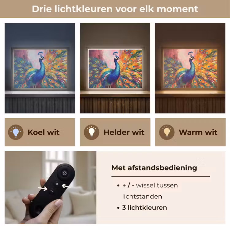 Lightbox - Wandlamp - Pauw - Dieren - Schilderij - Regenboog — 8