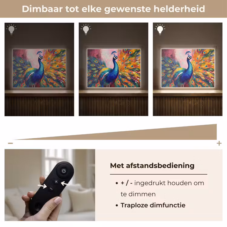 Lightbox - Wandlamp - Pauw - Dieren - Schilderij - Regenboog — 9