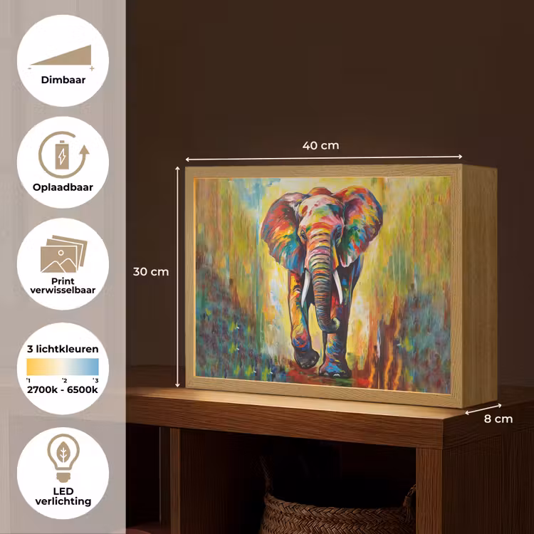 Lightbox - Wandlamp - Olifant - Kunst - Schilderij - Dieren - Regenboog — 10