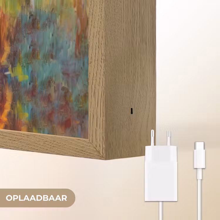 Lightbox - Wandlamp - Olifant - Kunst - Schilderij - Dieren - Regenboog — 7