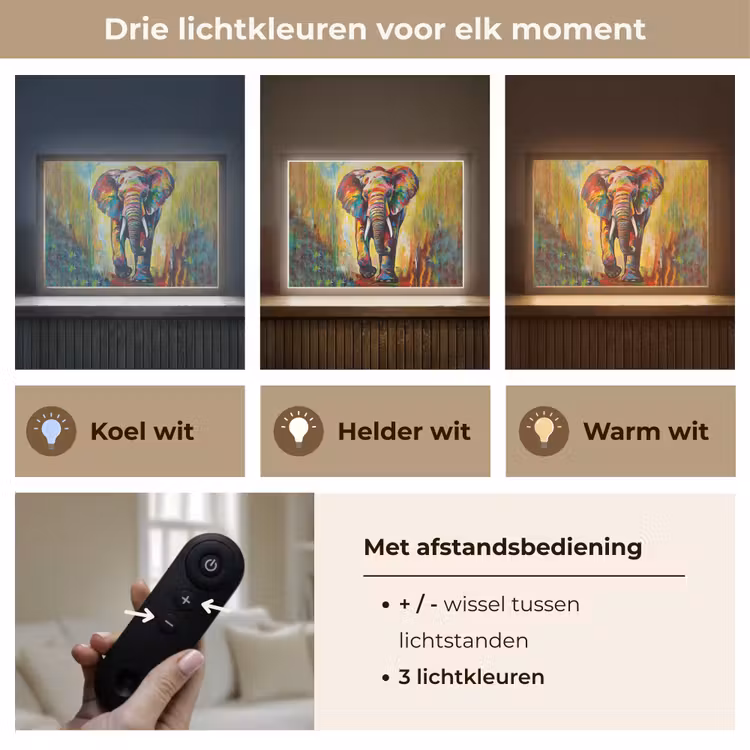 Lightbox - Wandlamp - Olifant - Kunst - Schilderij - Dieren - Regenboog — 8