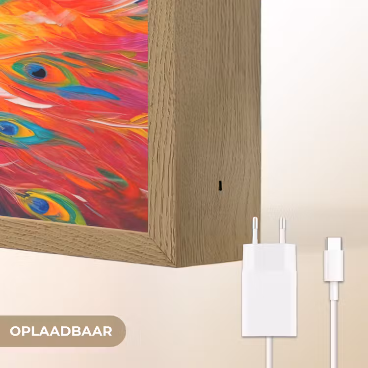 Lightbox - Wandlamp - Pauw - Kunst - Schilderij - Pauwenveren — 7