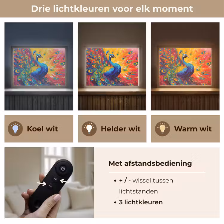 Lightbox - Wandlamp - Pauw - Kunst - Schilderij - Pauwenveren — 8