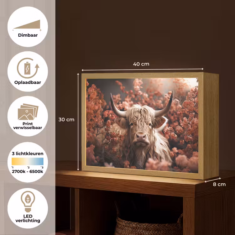 Lightbox - Wandlamp - Schotse hooglander - Dier - Natuur - Bloemen - Botanisch — 10