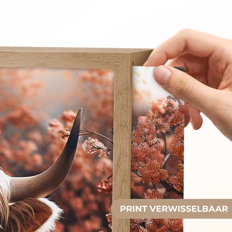 Lightbox - Wandlamp - Schotse hooglander - Dier - Natuur - Bloemen - Botanisch — 5