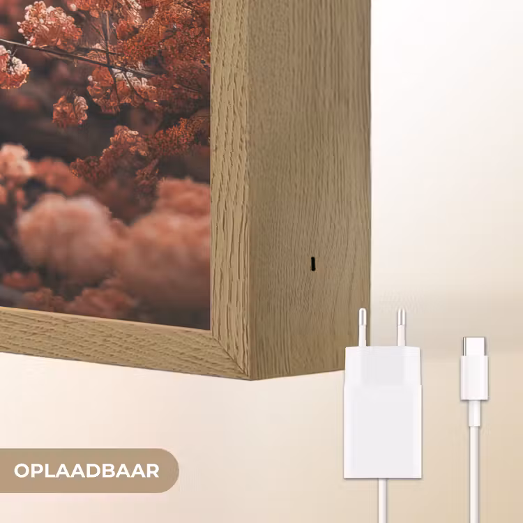 Lightbox - Wandlamp - Schotse hooglander - Dier - Natuur - Bloemen - Botanisch — 7