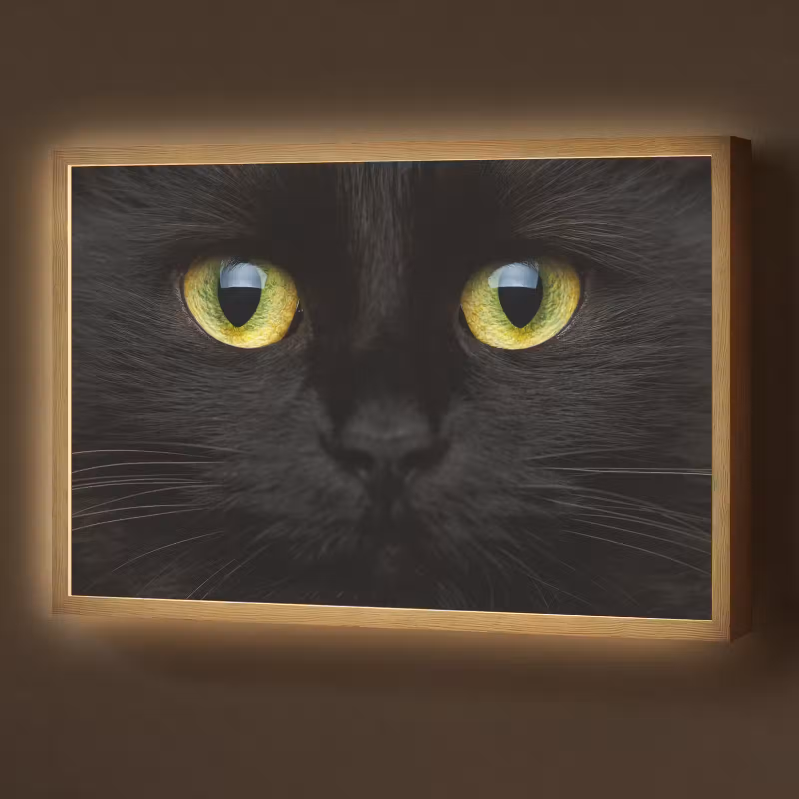 Lightbox - Wandlamp - Kat - Zwart - Dieren - Natuur — 1