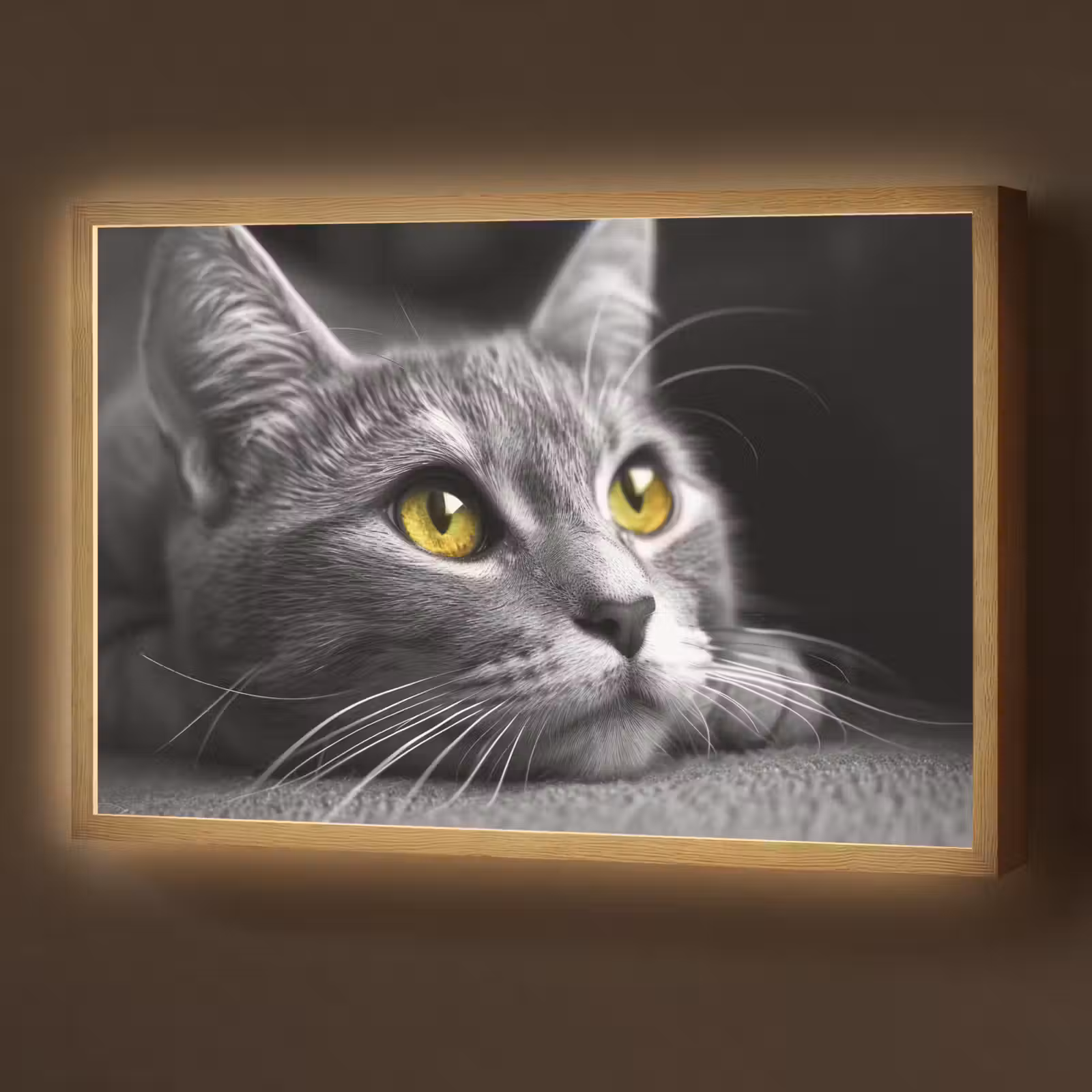 Lightbox - Wandlamp - Kat - Zwart - Wit - Dieren - Natuur — 1