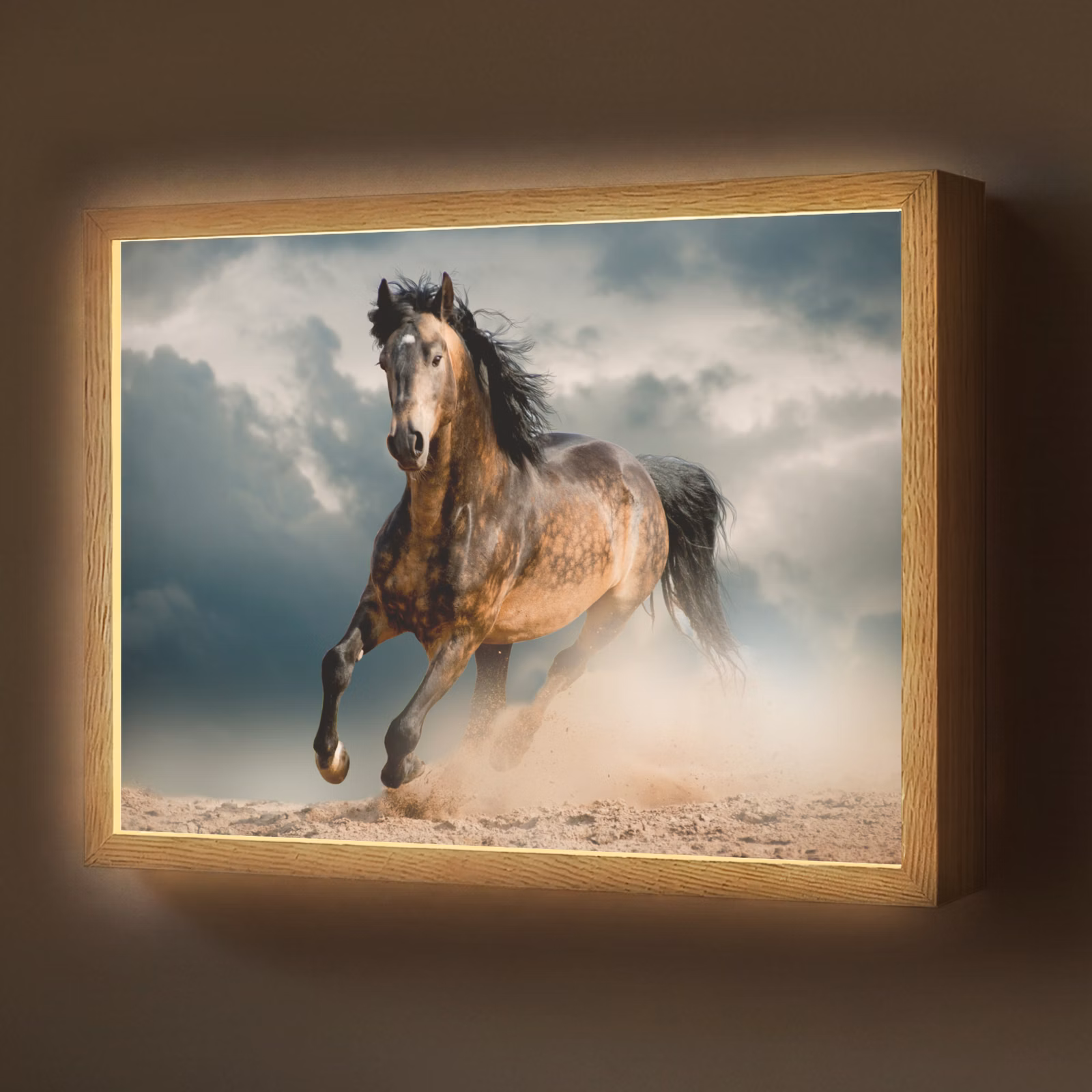 Lightbox - Wandlamp - Paard - Dieren - Bruin - Natuur — 1