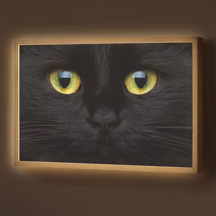 Lightbox - Wandlamp - Kat - Zwart - Dieren - Natuur — 1
